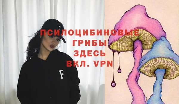 бутират Алзамай